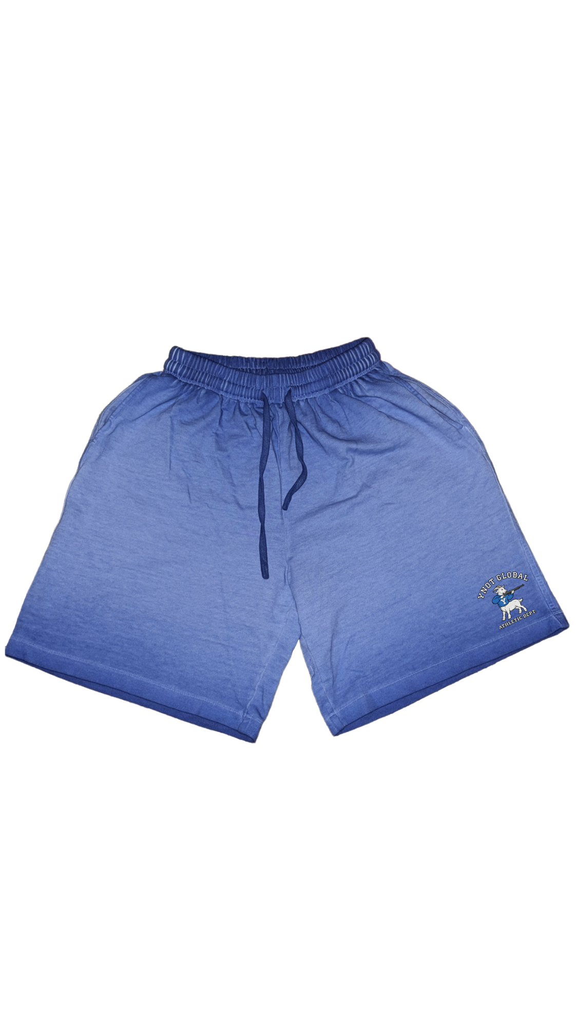 Athletic Global Bermuda Shorts (Blue)