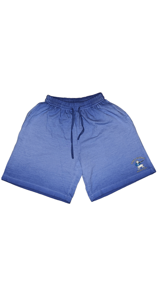 Athletic Global Bermuda Shorts (Blue)